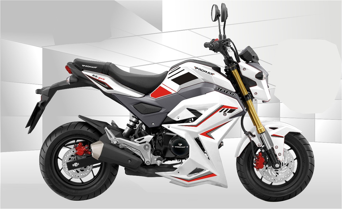 Мотоцикл PROMAX STRYKER 200(49) 2.0 в Сургуте