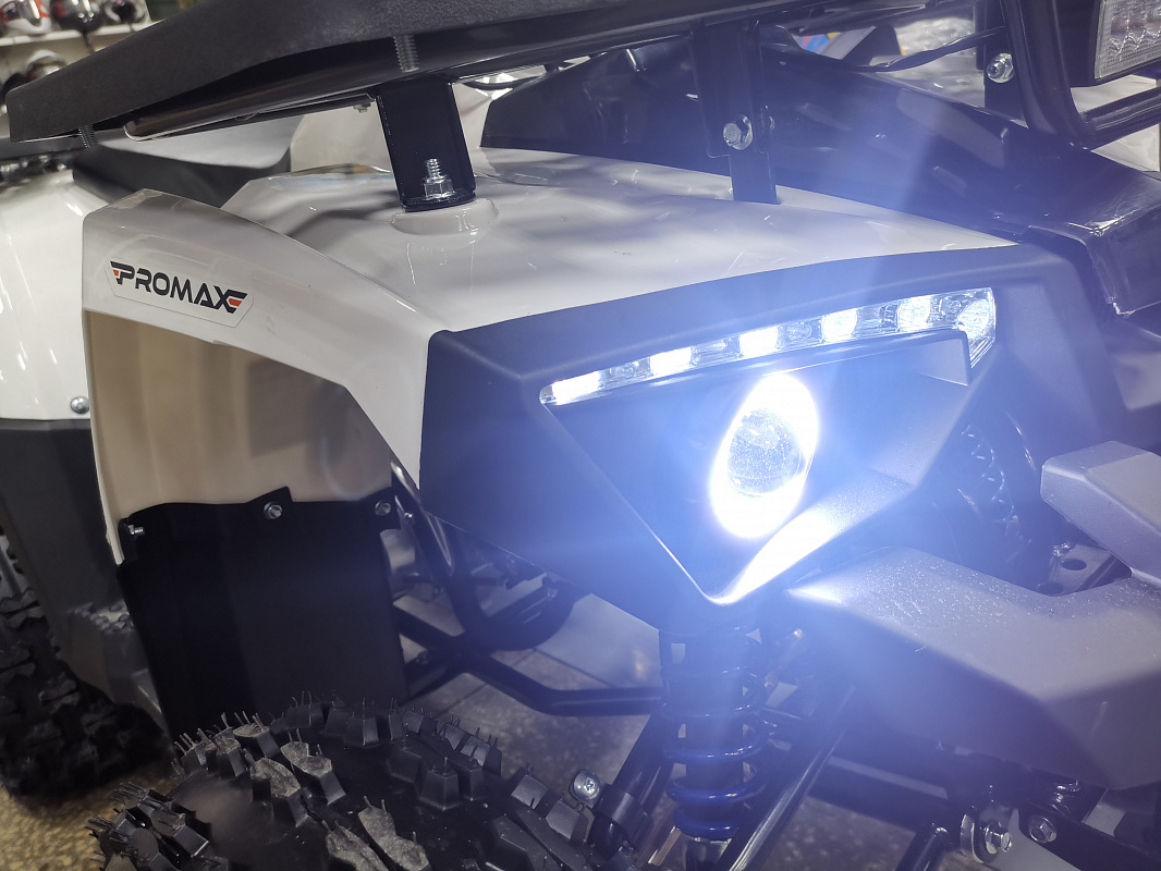 Квадроцикл PROMAX WILD 175 LUX в Сургуте