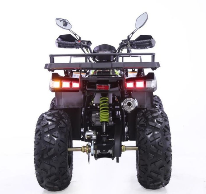 Квадроцикл YACOTA WARRIOR 200 PRO в Сургуте