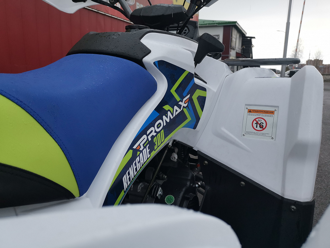 Квадроцикл PROMAX RENEGADE 280 LUX (2025) в Сургуте
