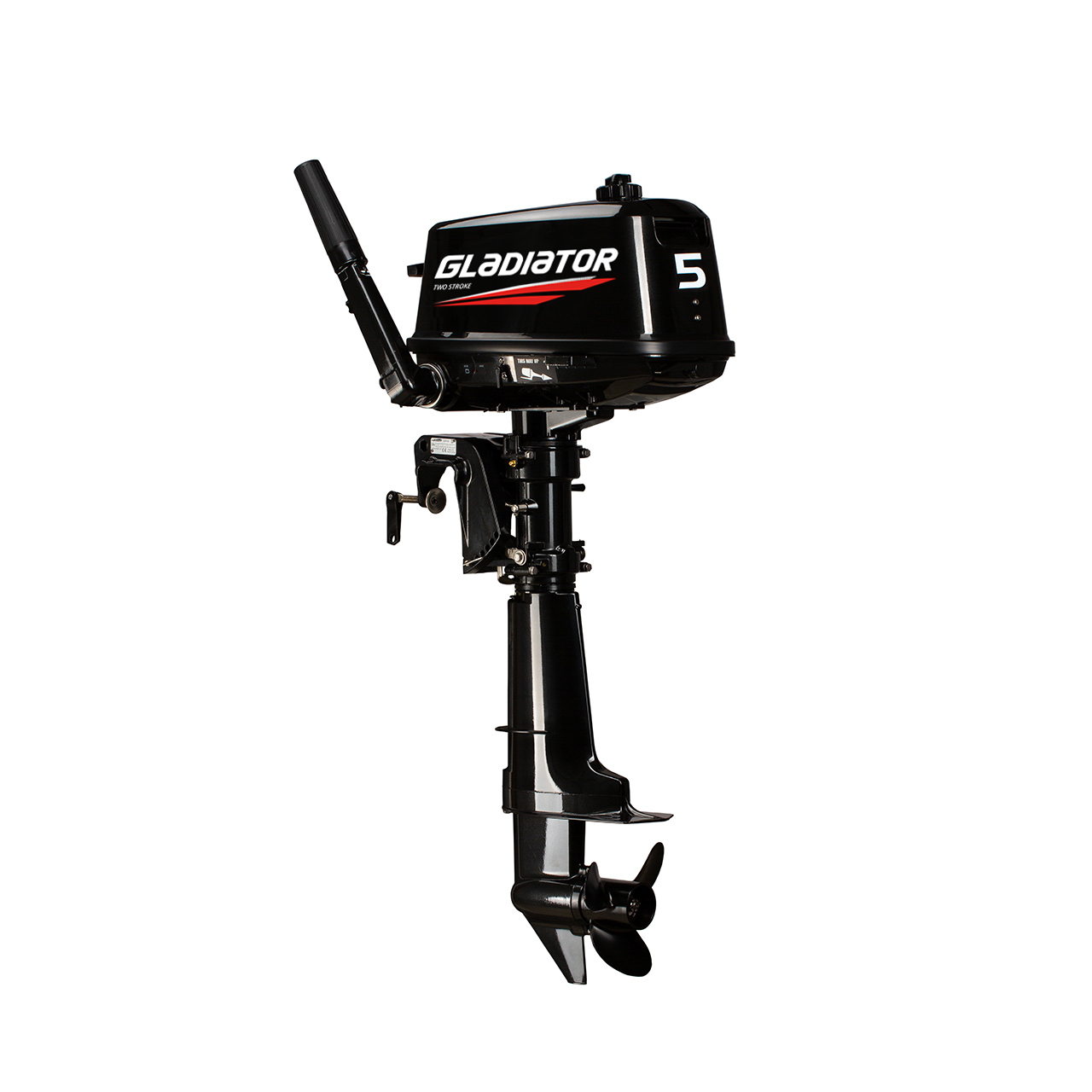 ЛОДОЧНЫЙ МОТОР GLADIATOR G5FHS в Сургуте