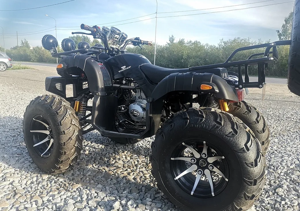 Квадроцикл PROMAX LEO 300 Max (кардан) в Сургуте