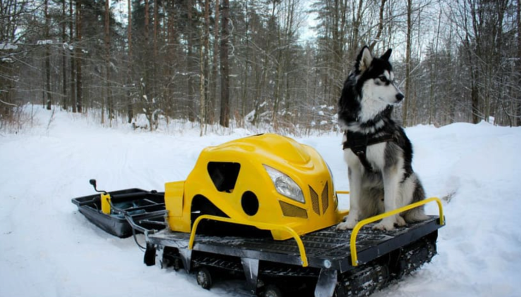 Мотобуксировщик LEBEDEV MOTORS ВОЛКОДАВ POWER V13 в Сургуте