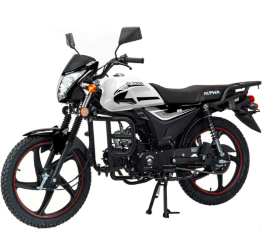 Мопед MOTOLAND (МОТОЛЕНД) Альфа RS 11 (LM48-B) в Сургуте