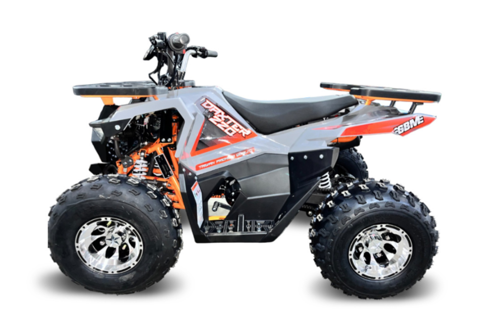 Квадроцикл GBM DAXTER 220 NEW PREMIUM в Сургуте