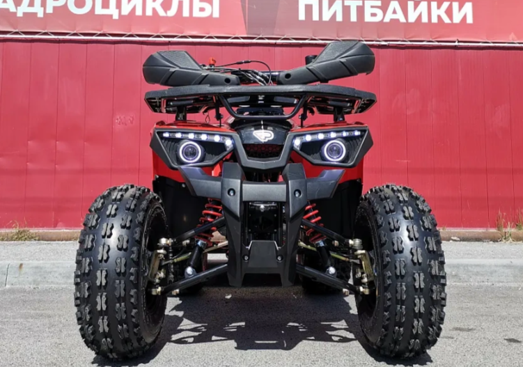 Квадроцикл PROMAX WILD 175 BASIC в Сургуте