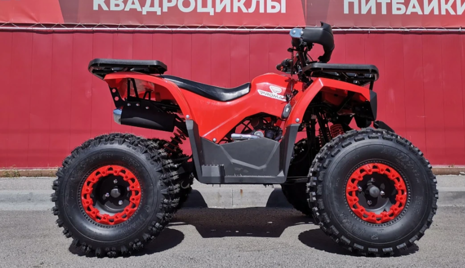 Квадроцикл PROMAX WILD 175 BASIC в Сургуте
