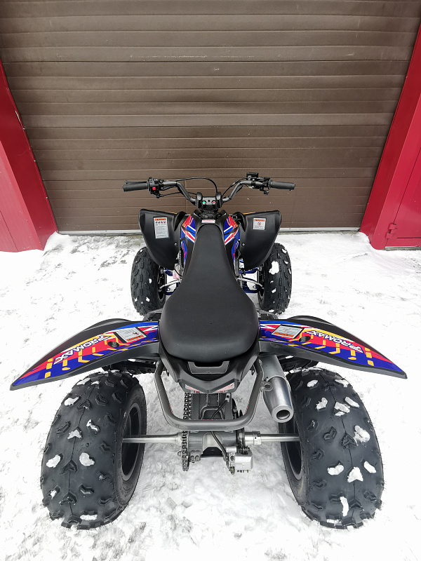 Квадроцикл PROMAX RAPTOR 300 NEW RedBull в Сургуте