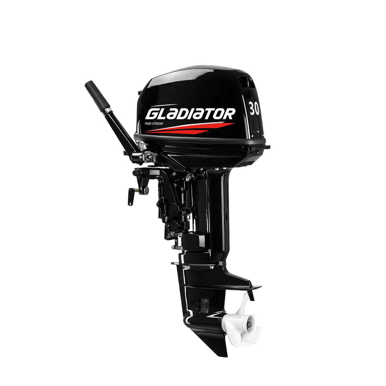 ЛОДОЧНЫЙ МОТОР GLADIATOR G30FHS в Сургуте