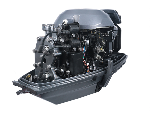 ЛОДОЧНЫЙ МОТОР ALLFA CG T30 FW S в Сургуте