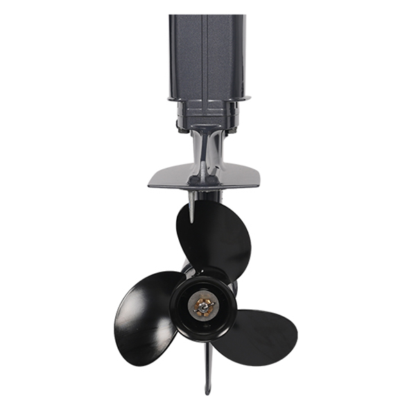 ЛОДОЧНЫЙ МОТОР ALLFA CG Т20 в Сургуте