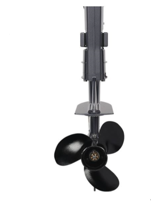 Лодочный мотор ALLFA CG F6 в Сургуте