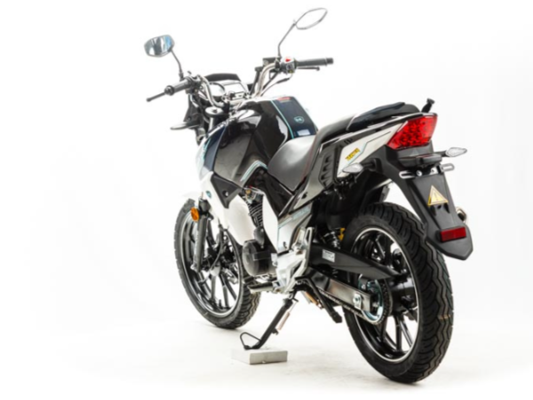 Мотоцикл MOTOLAND (МОТОЛЕНД) FIGHTER 250 в Сургуте