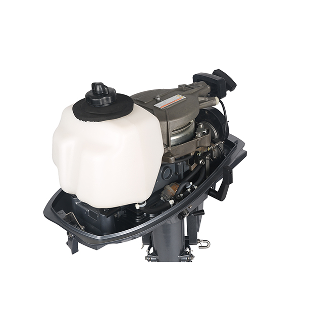 ЛОДОЧНЫЙ МОТОР ALLFA CG T5 в Сургуте