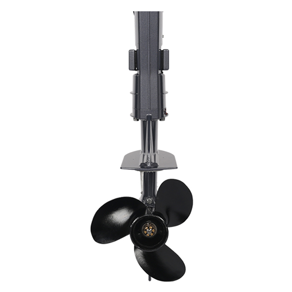 ЛОДОЧНЫЙ МОТОР ALLFA CG T5 в Сургуте