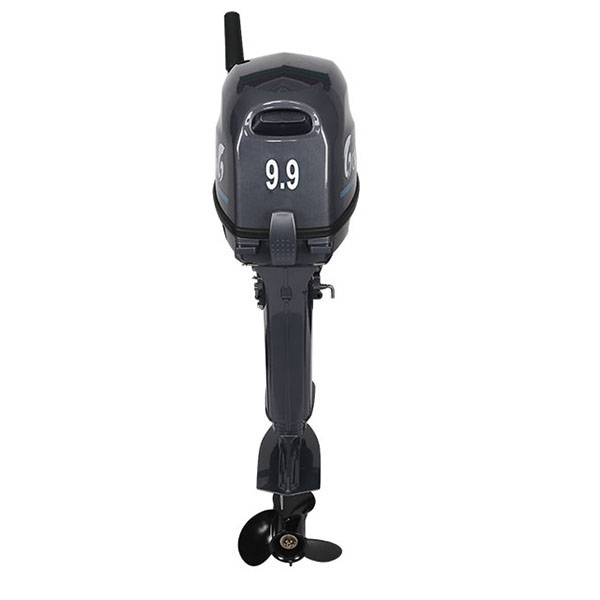 Лодочный мотор ALLFA CG Т9.9(20)MAX в Сургуте