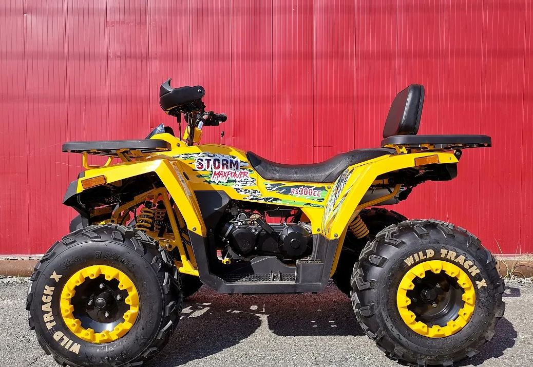 Квадроцикл PROMAX STORM 280 LUX в Сургуте
