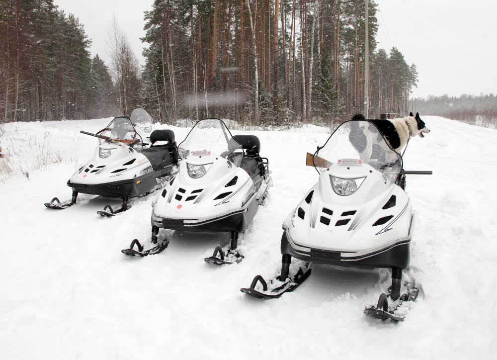 СНЕГОХОД РМ ТАЙГА ВАРЯГ 550 V в Сургуте