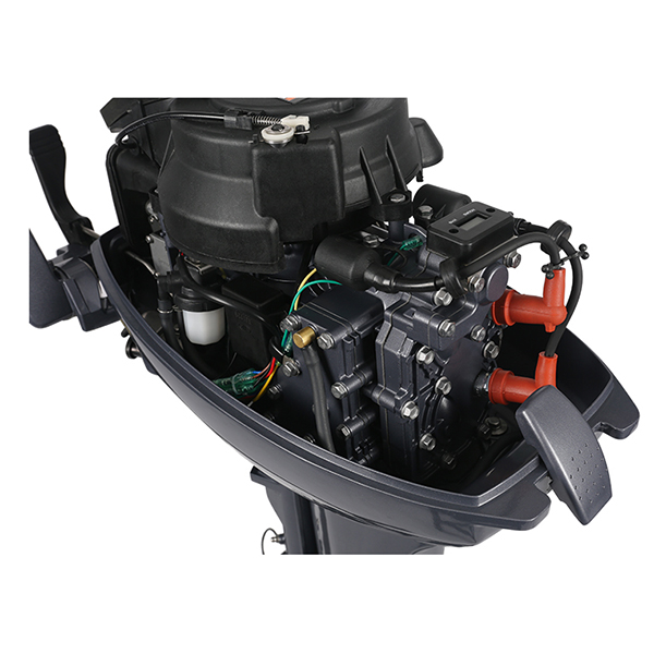 ЛОДОЧНЫЙ МОТОР ALLFA CG Т9,9 в Сургуте