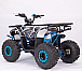 Квадроцикл YACOTA SIRIUS 110 в Сургуте