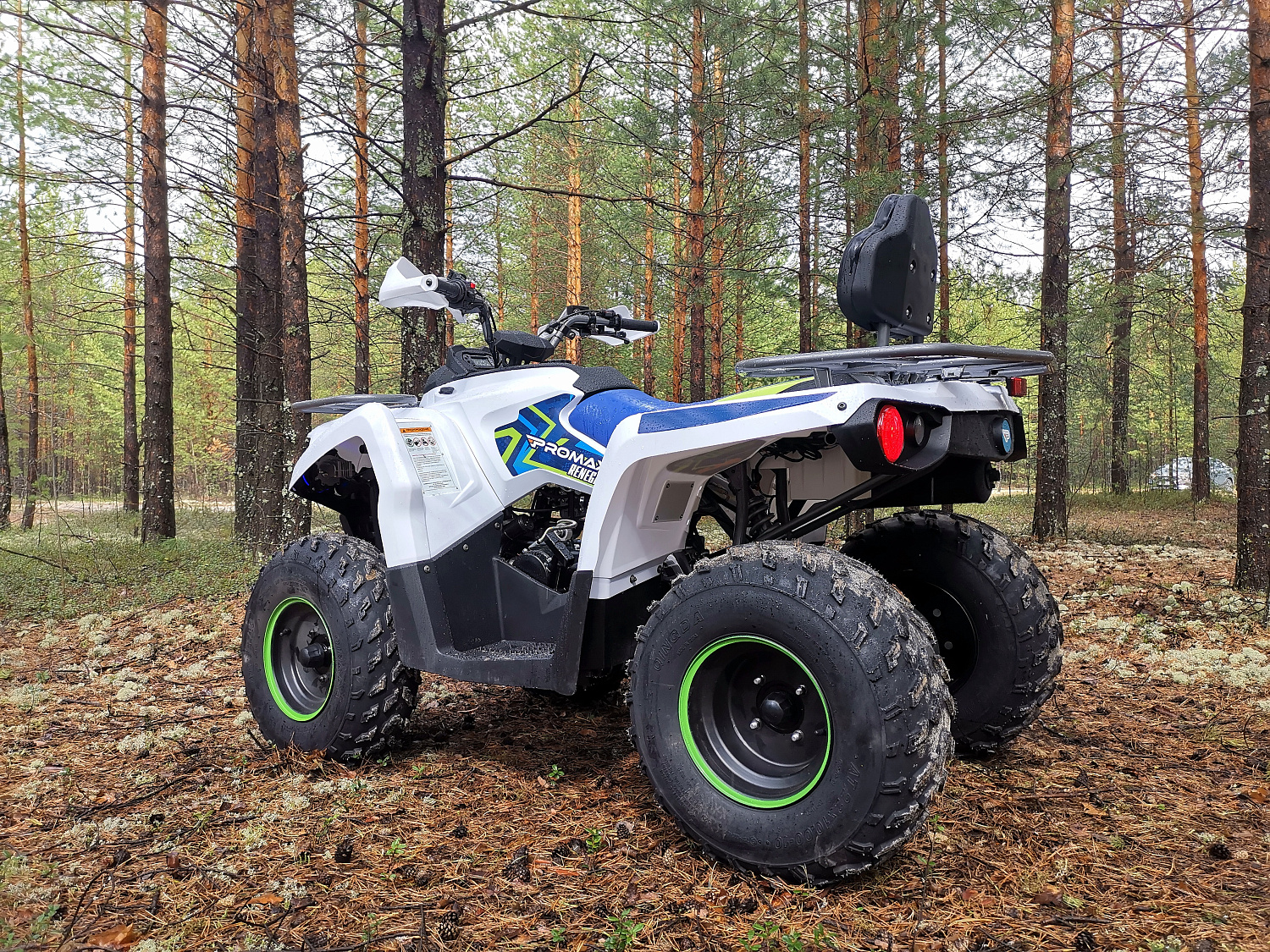 Квадроцикл PROMAX RENEGADE 280 (2025) в Сургуте