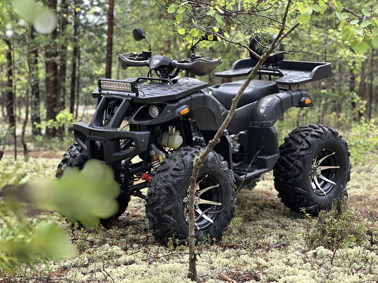 Квадроцикл PROMAX 320 DOMINATOR (2025) в Сургуте