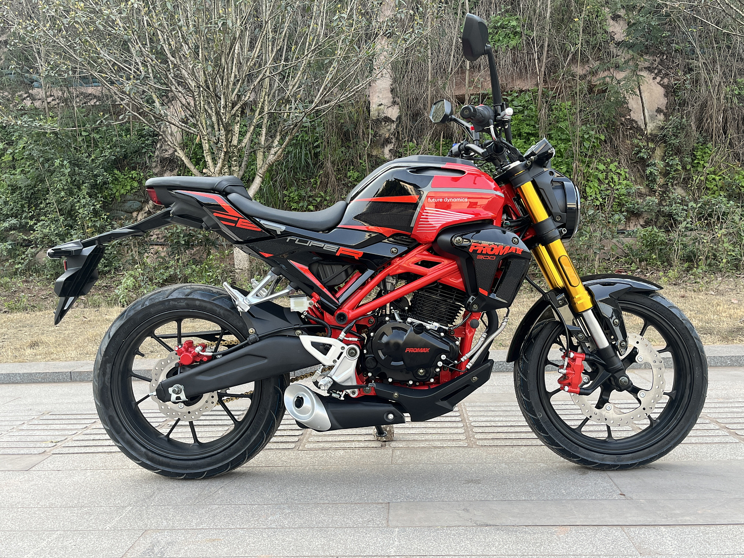 Мотоцикл PROMAX CB300 в Сургуте