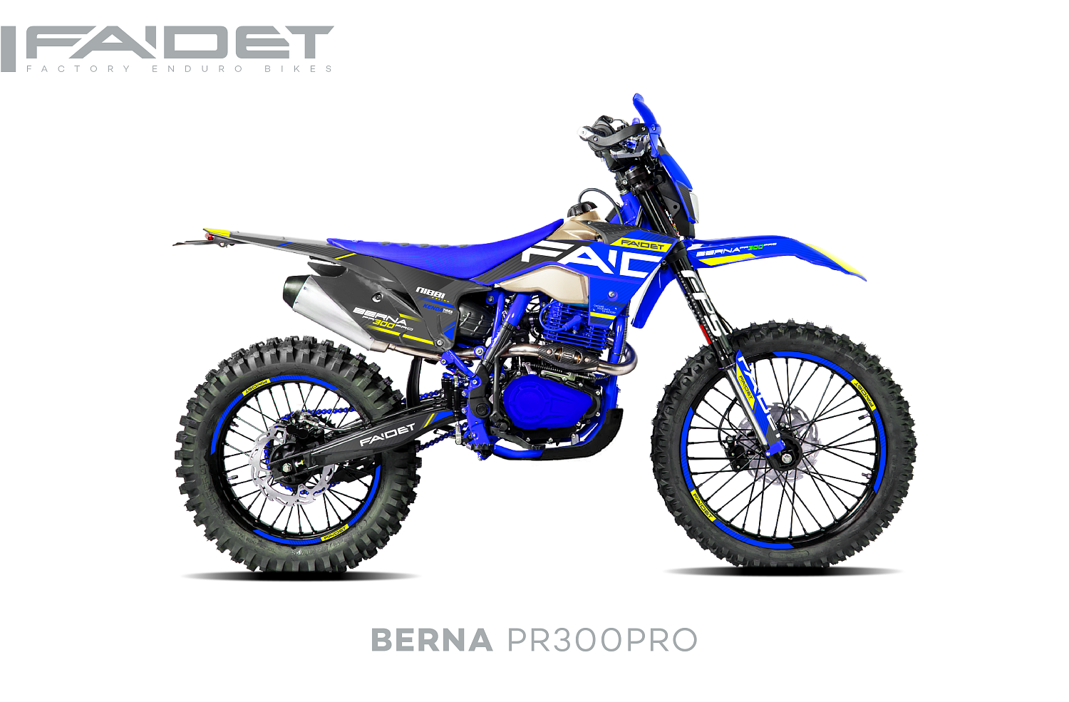 Кроссовый мотоцикл FAIDET BERNA PR300-PRO FPS в Сургуте