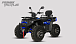 Квадроцикл PROMAX TAURUS 300 MAX-PRO LONG в Сургуте