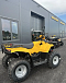 КВАДРОЦИКЛ IRBIS ATV 250  в Сургуте