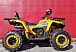 Квадроцикл PROMAX STORM 280 LUX в Сургуте