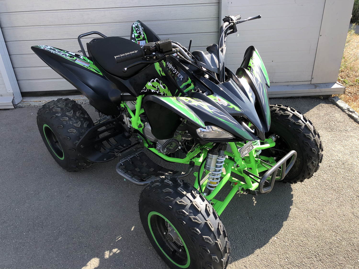 Квадроцикл PROMAX RAPTOR 300 NEW Monster в Сургуте