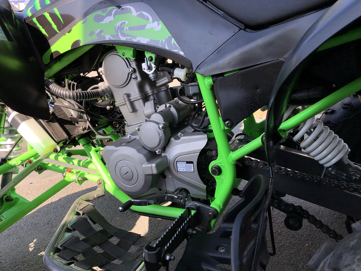 Квадроцикл PROMAX RAPTOR 300 NEW Monster в Сургуте