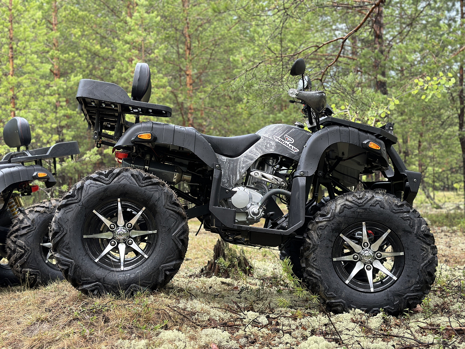 Квадроцикл PROMAX 320 DOMINATOR (2025) в Сургуте