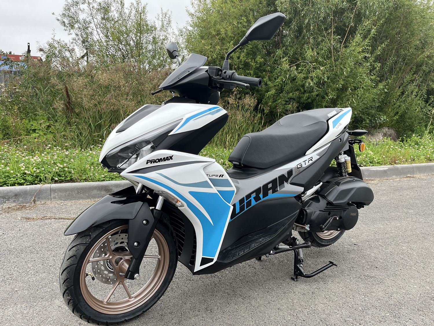 Скутер PROMAX TURAN 250 (49) в Сургуте