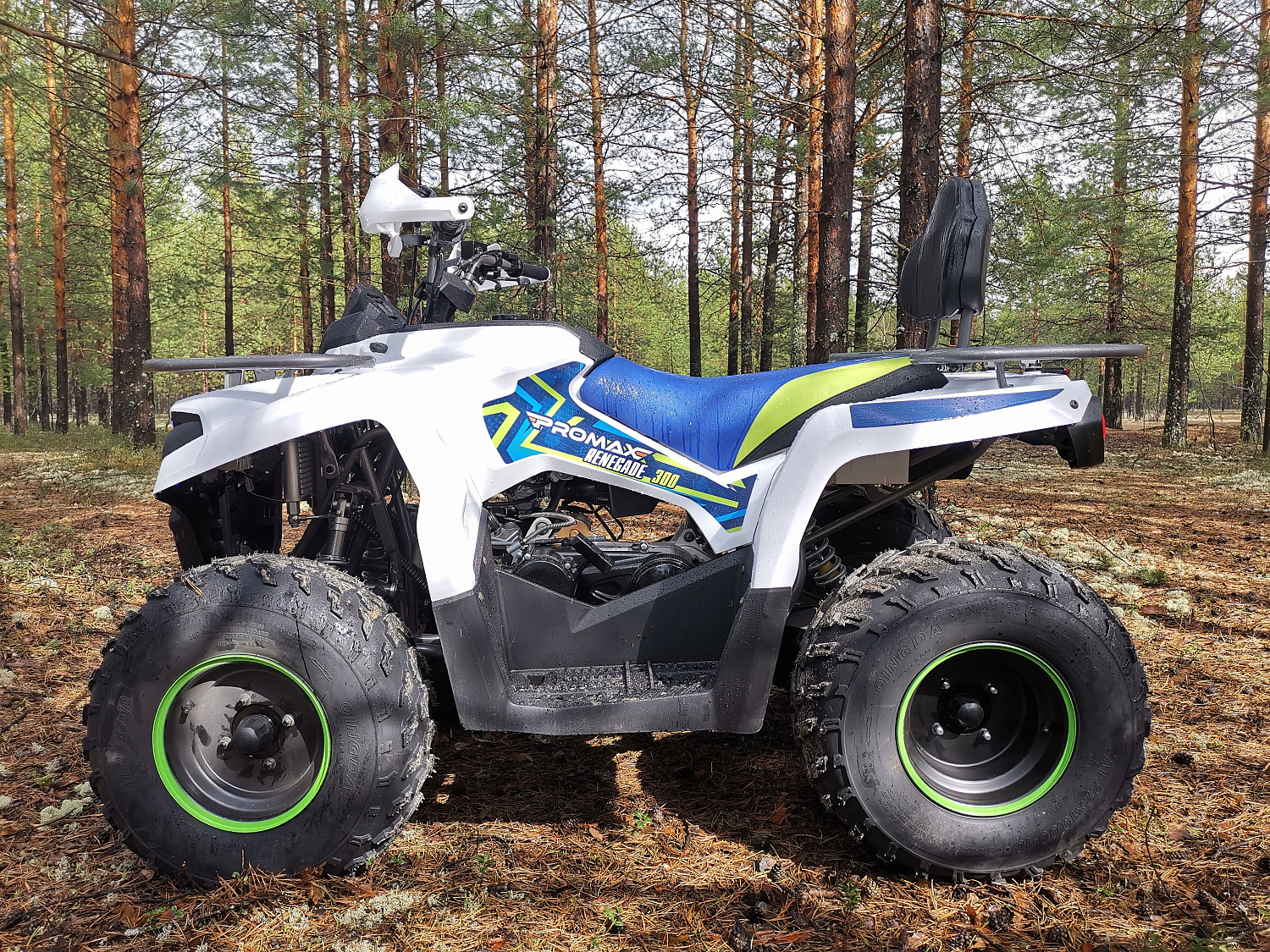 Квадроцикл PROMAX RENEGADE 280 (2025) в Сургуте