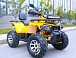 Квадроцикл MOTOLAND (МОТОЛЕНД) VOX200 WILD TRACK X PRO (баланс. вал) в Сургуте