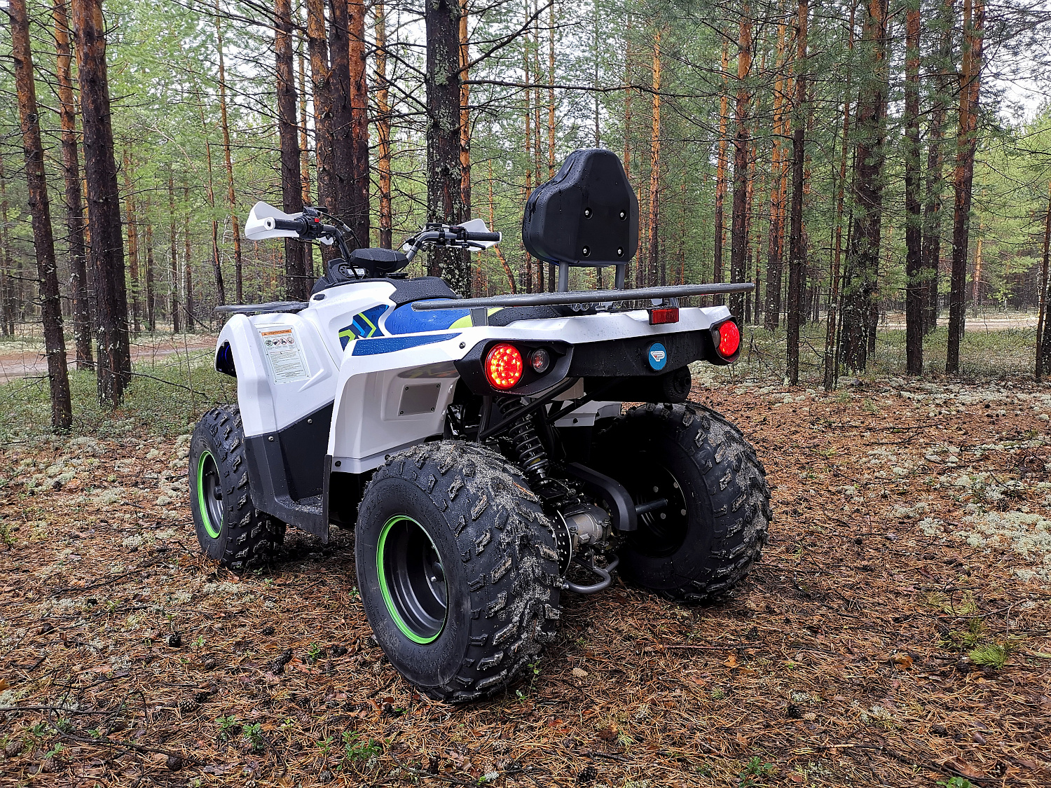 Квадроцикл PROMAX RENEGADE 280 (2025) в Сургуте