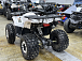 Квадроцикл PROMAX WILD 2.0 190 LUX в Сургуте