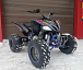 Квадроцикл PROMAX RAPTOR 300 NEW RedBull в Сургуте