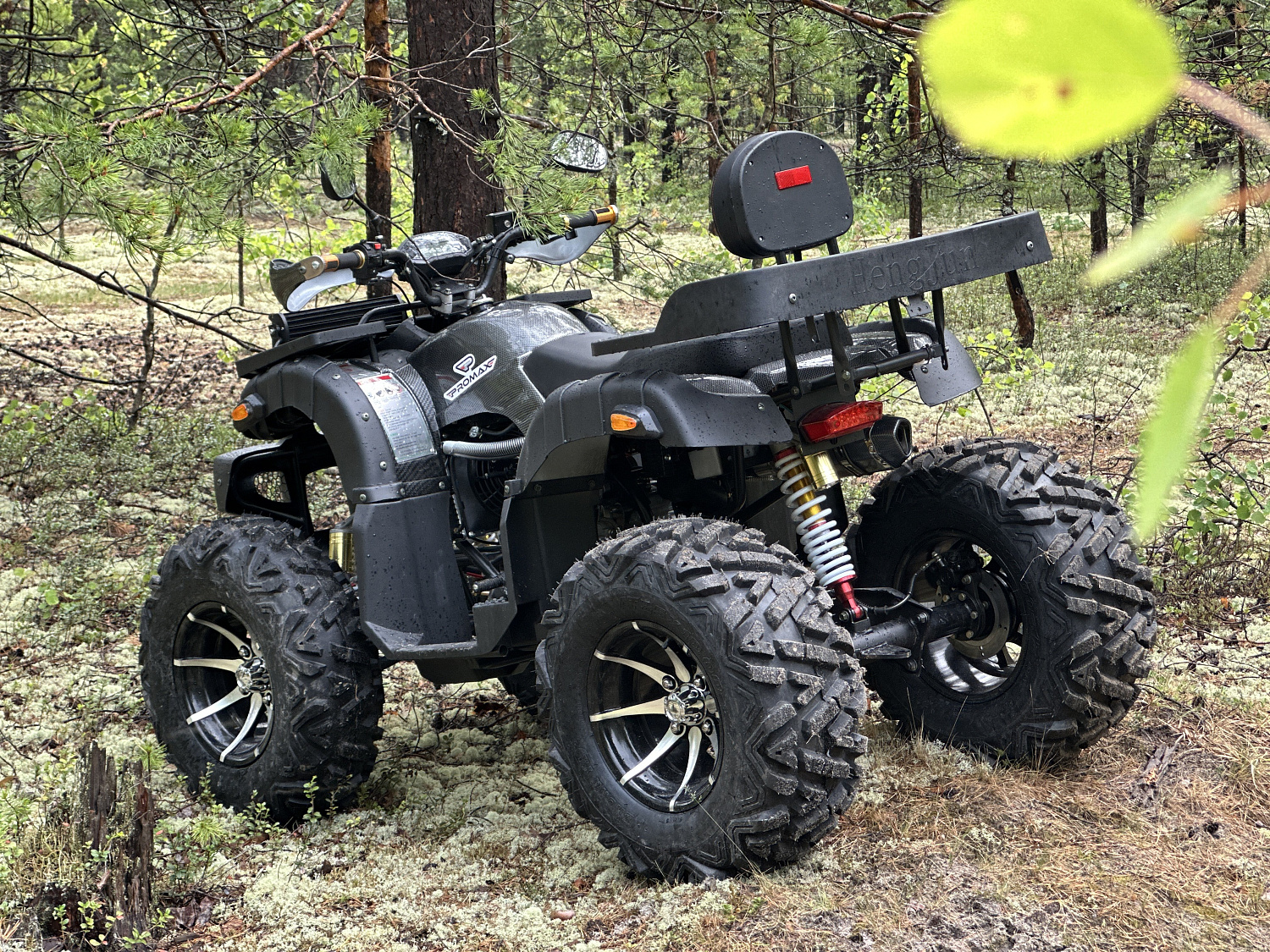 Квадроцикл PROMAX 320 DOMINATOR (2025) в Сургуте