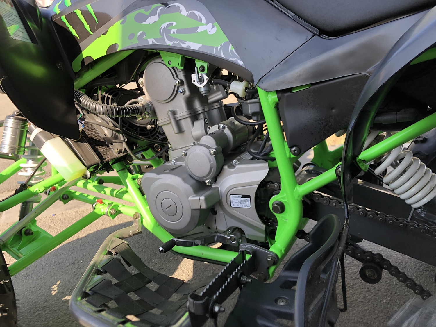 Квадроцикл PROMAX RAPTOR 300 NEW Monster в Сургуте