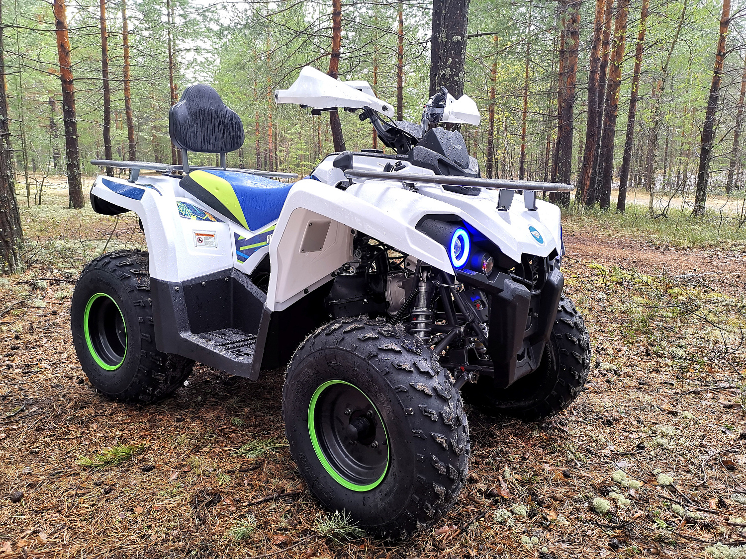 Квадроцикл PROMAX RENEGADE 280 (2025) в Сургуте