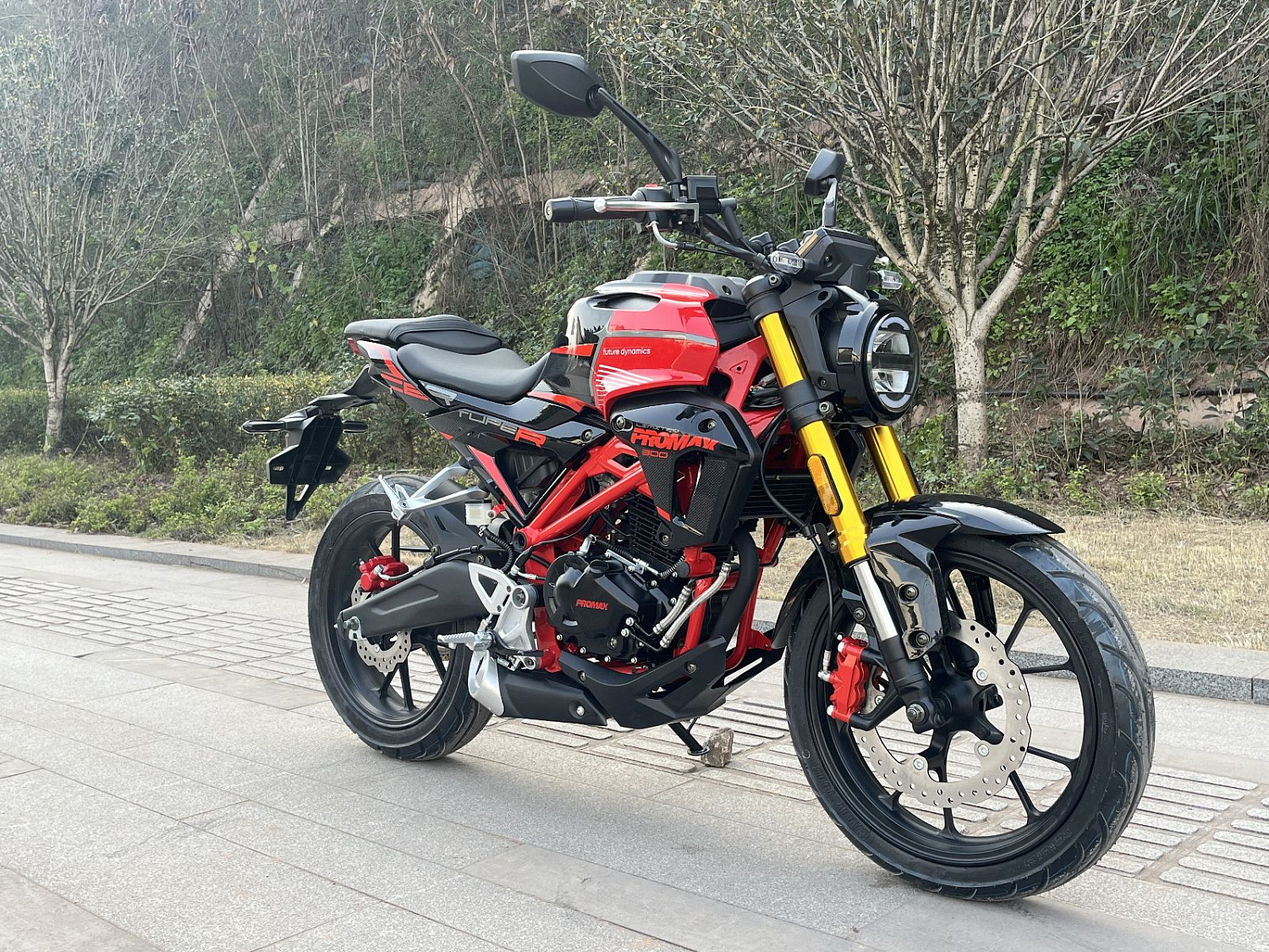 Мотоцикл PROMAX CB300RL (4V, 6G) в Сургуте