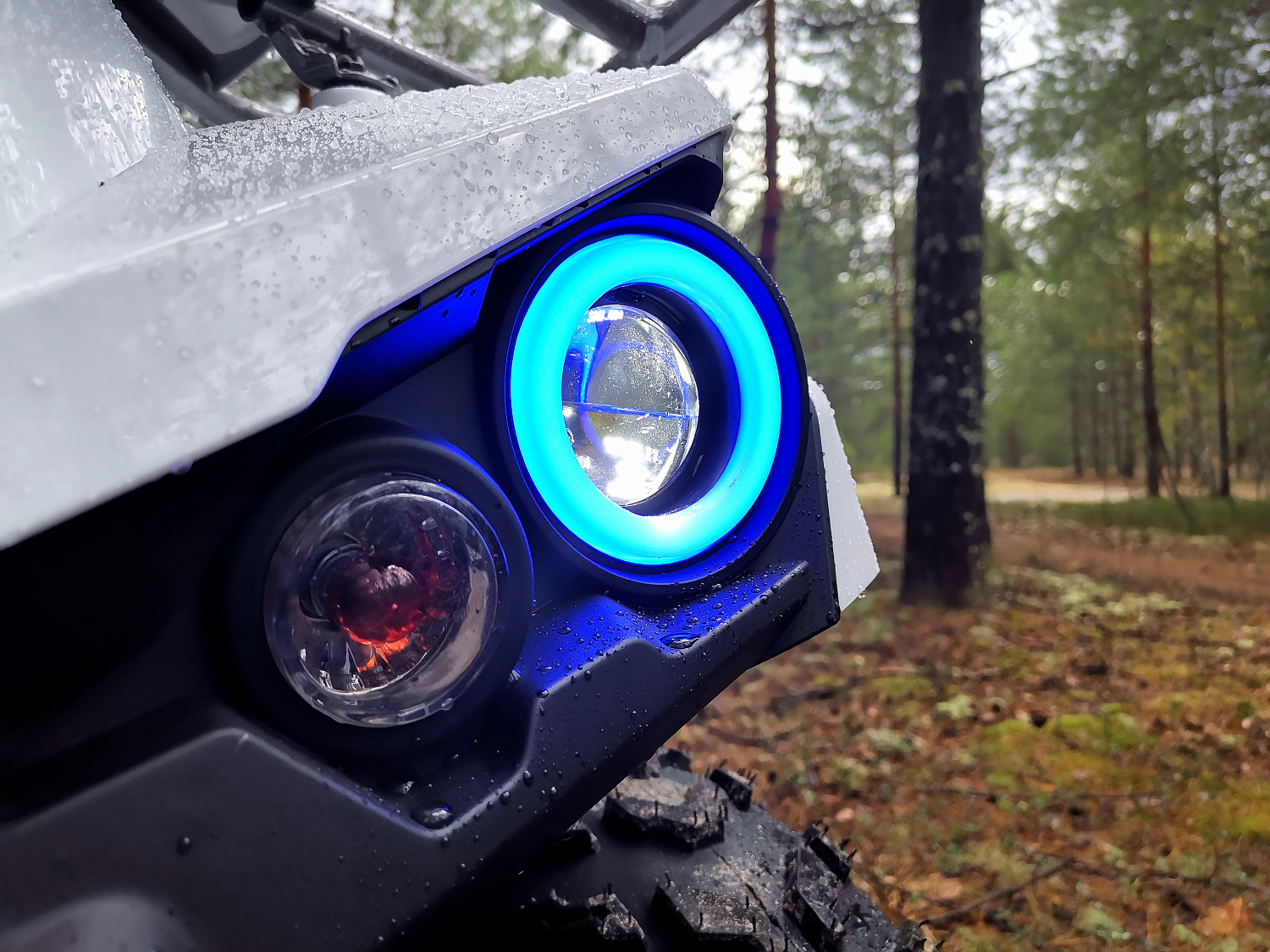 Квадроцикл PROMAX RENEGADE 280 (2025) в Сургуте