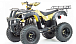 Квадроцикл MOTOLAND (МОТОЛЕНД) 250 ADVENTURE в Сургуте