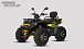 Квадроцикл PROMAX TAURUS 300 MAX-PRO LONG в Сургуте